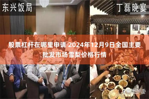 股票杠杆在哪里申请 2024年12月9日全国主要批发市场雪梨价格行情