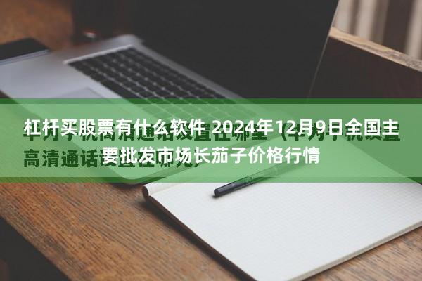 杠杆买股票有什么软件 2024年12月9日全国主要批发市场长茄子价格行情