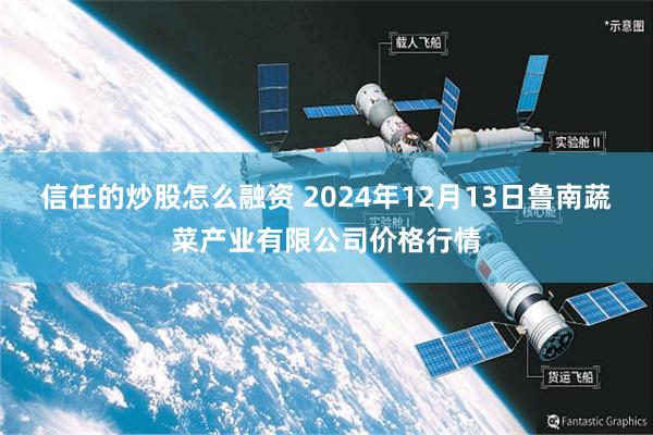 信任的炒股怎么融资 2024年12月13日鲁南蔬菜产业有限公司价格行情