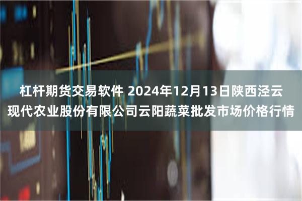 杠杆期货交易软件 2024年12月13日陕西泾云现代农业股份有限公司云阳蔬菜批发市场价格行情