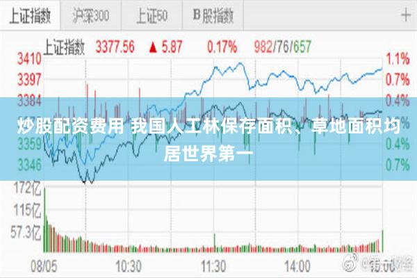 炒股配资费用 我国人工林保存面积、草地面积均居世界第一