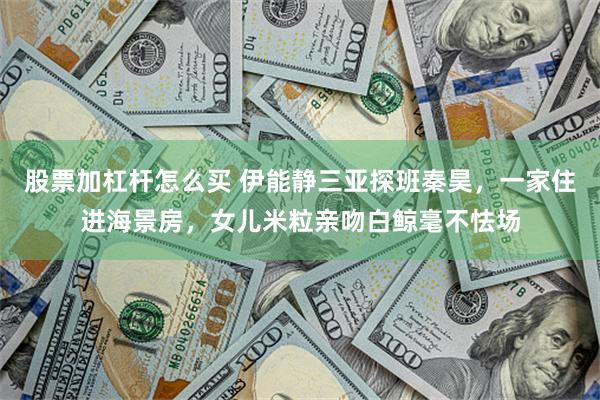 股票加杠杆怎么买 伊能静三亚探班秦昊,一家住进海景房,女儿米粒亲吻白鲸毫不怯场